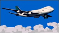 Airline