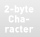 2-byte Character