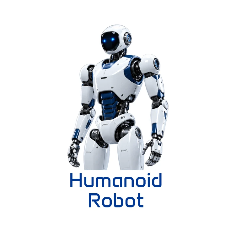 Humanoid Robot